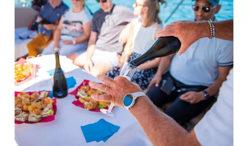 Lago de Garda: excursión de 4 horas en barco desde Sirmione