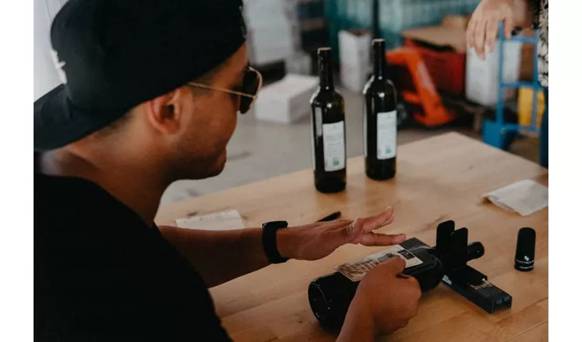 Cata de vinos en Alcamo, Sicilia