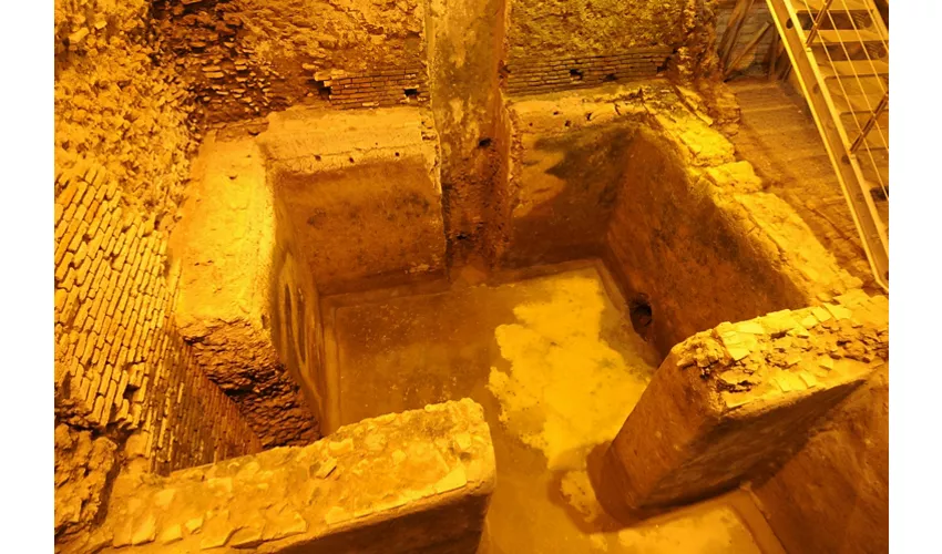Stadium of Domitian & Trevi Fountain Rome: Stadium Visit + Trevi Guided Tour