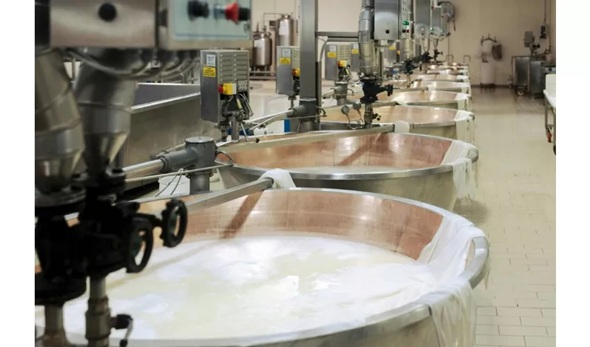 Noceto: Parmesan Cheese Factory Guided Tour