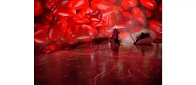 Next Museum Milan: LOVE Immersive Experience