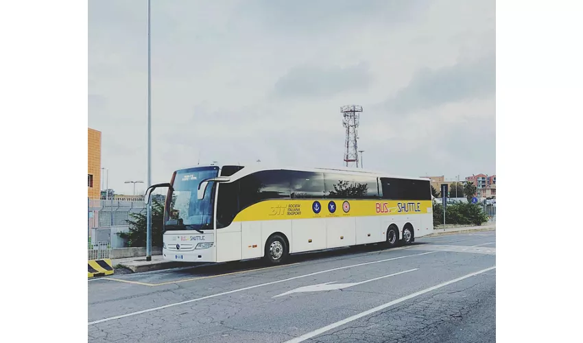 Civitavecchia: Bus navetta da/per Roma