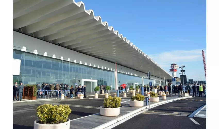 Civitavecchia: Trasferimento in autobus dal porto all'aeroporto di Fiumicino