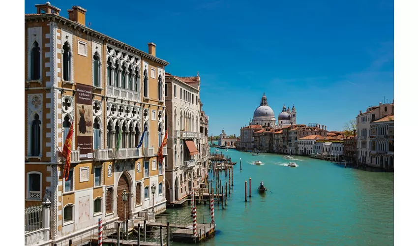 Murano, Burano & Torcello Venice: 24-Hr Hop-on Hop-off Boat Tour