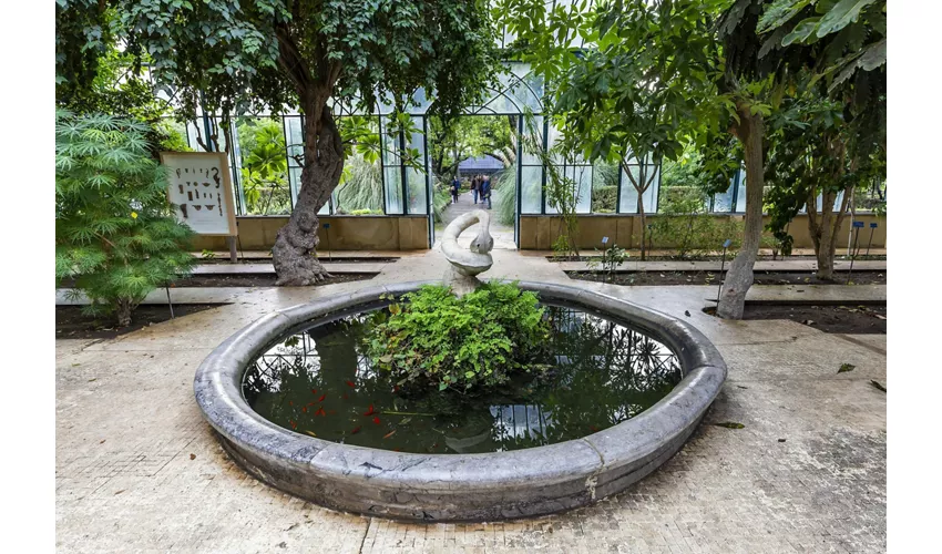 Jardín Botánico de Palermo: Entrada