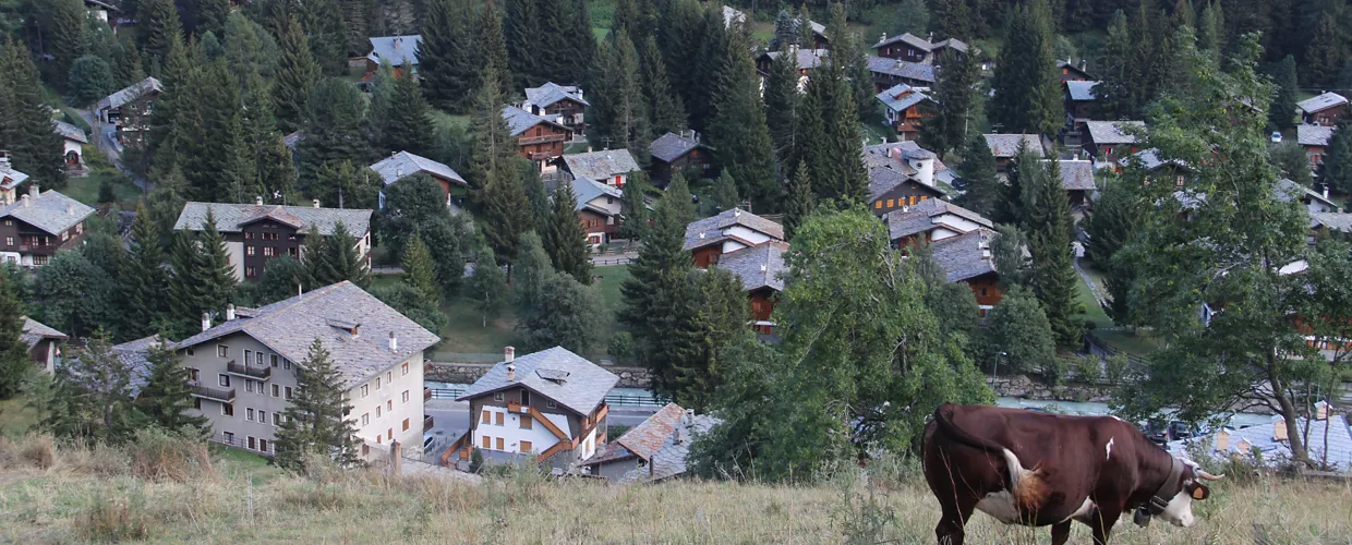 Champoluc