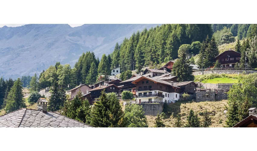 Champoluc