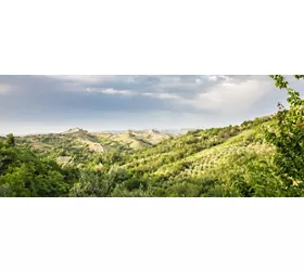 Serramonacesca