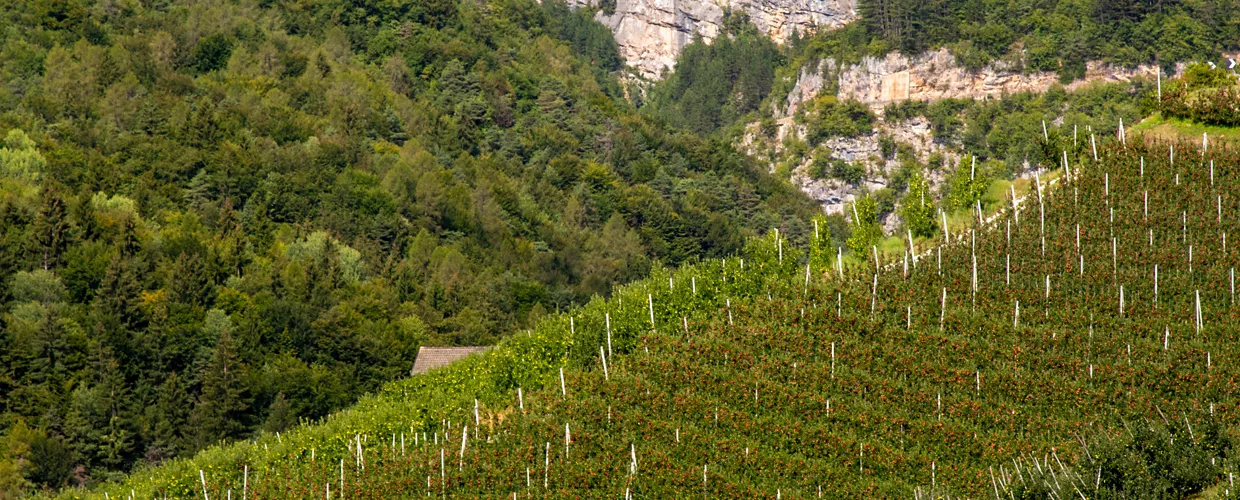 Vale de Non