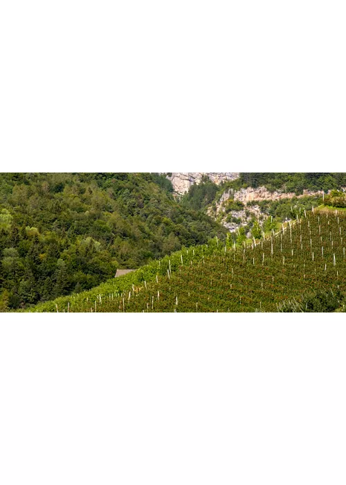 Val di Non