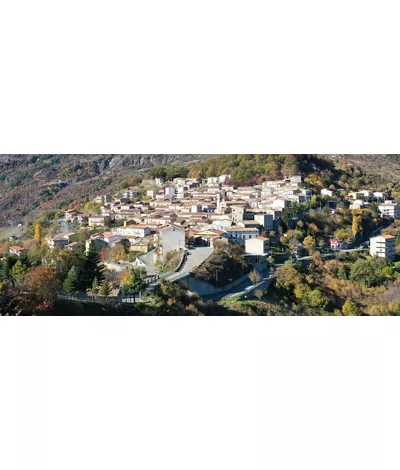 Alessandria del carretto