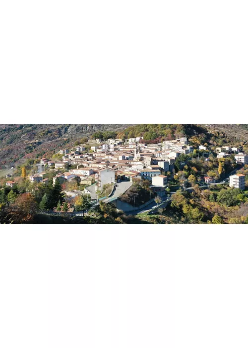 Alessandria del carretto