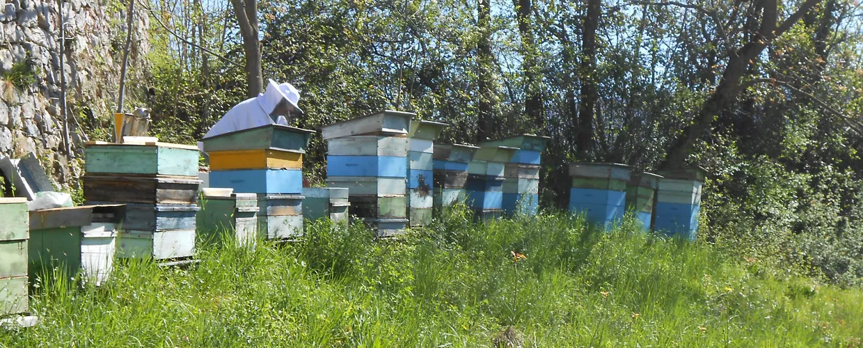 Monte Baldo Beekeeping of Bertè Fabrizio