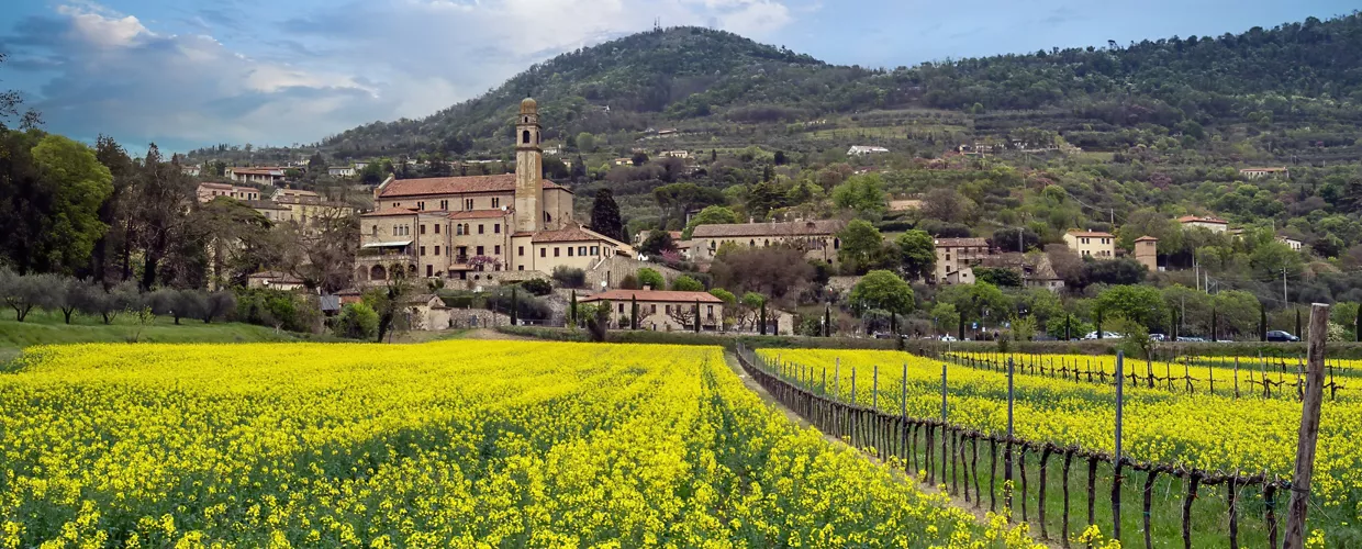 Arquà Petrarca