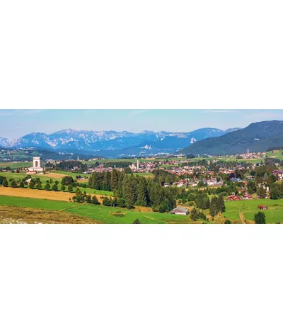 Asiago