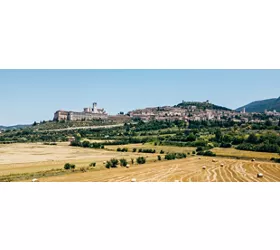 Assisi