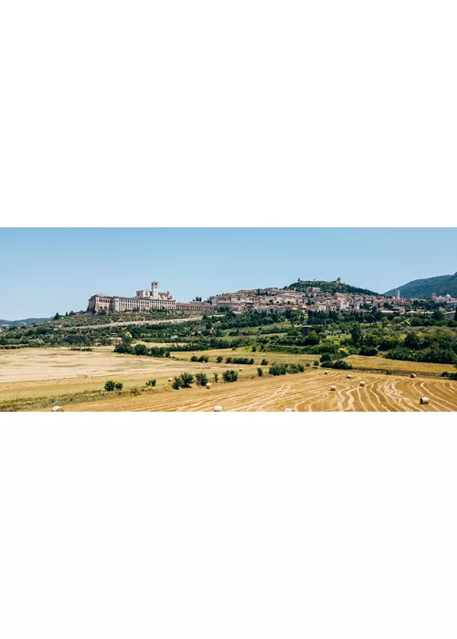 Assisi