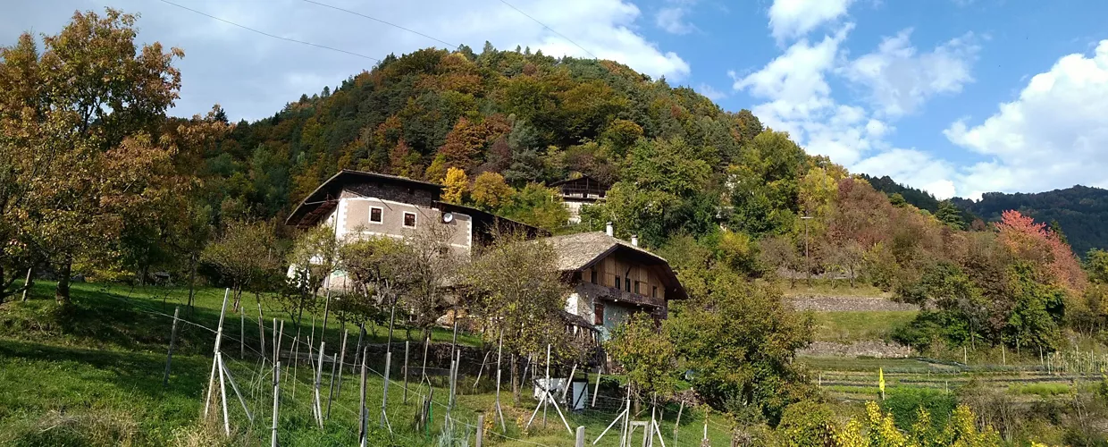 Azienda Agricola (Landwirtschaftsbetrieb) Fiordalisa