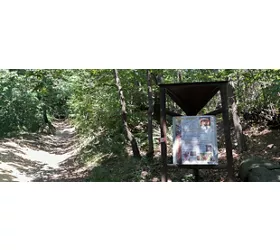 bosco-vaj-to-destination