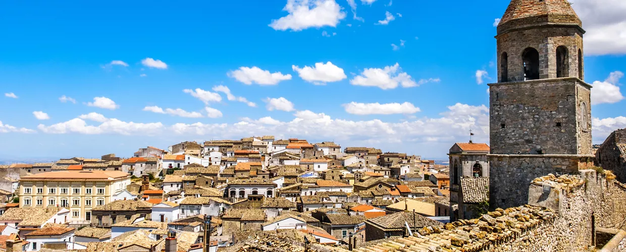 Bovino