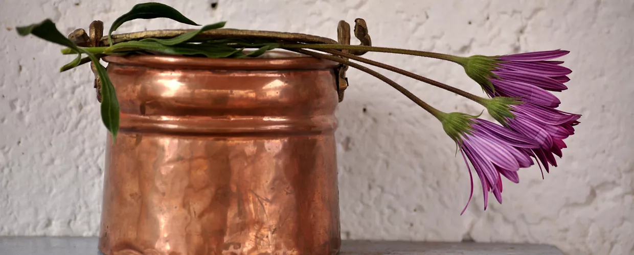 Restaurant Cadran Solaire