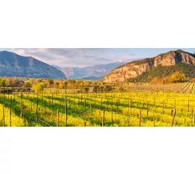 Weinkeller La Valle