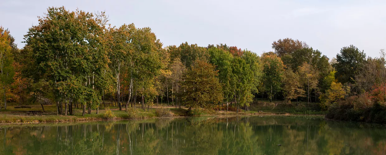 Capriva del Friuli