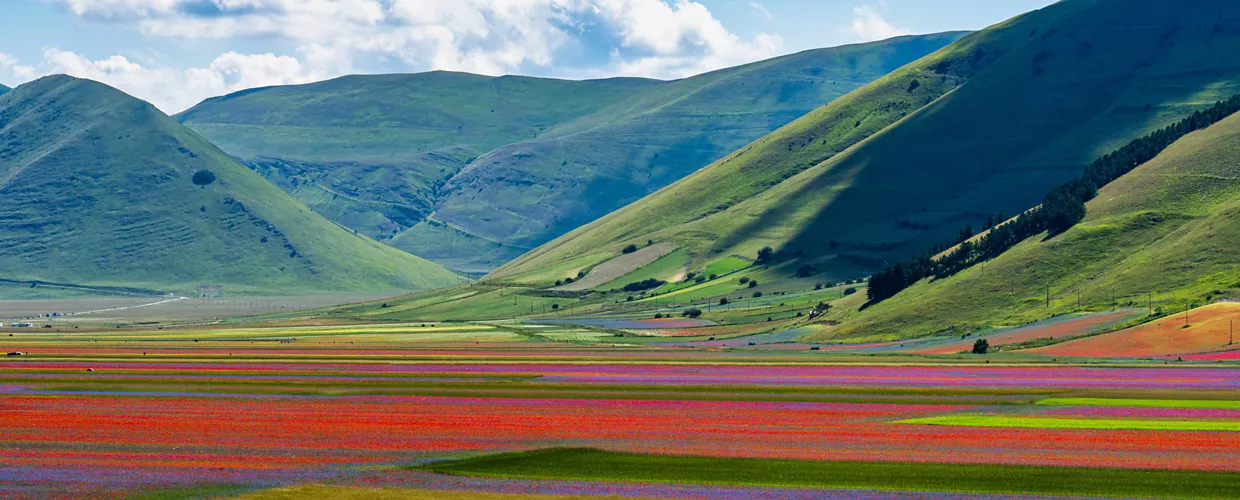 Castelluccio