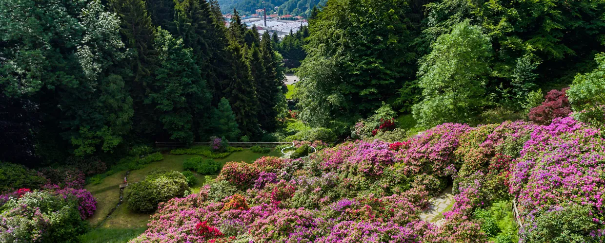 Conca Dei Rododendri