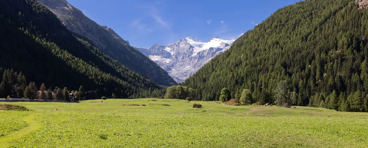 Du Grand Paradis