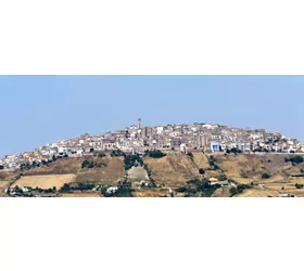 Forenza