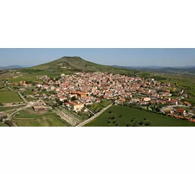 Genoni