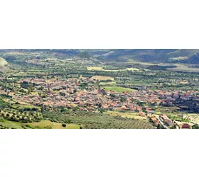 Gesturi