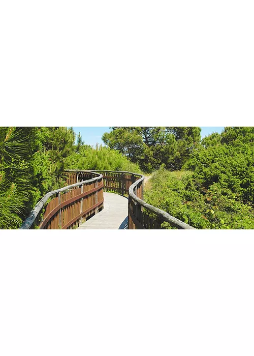 Giardino Botanico di Porto Caleri