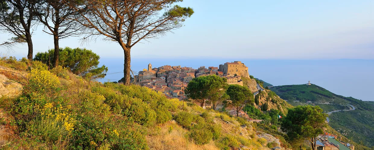 Giglio Castello