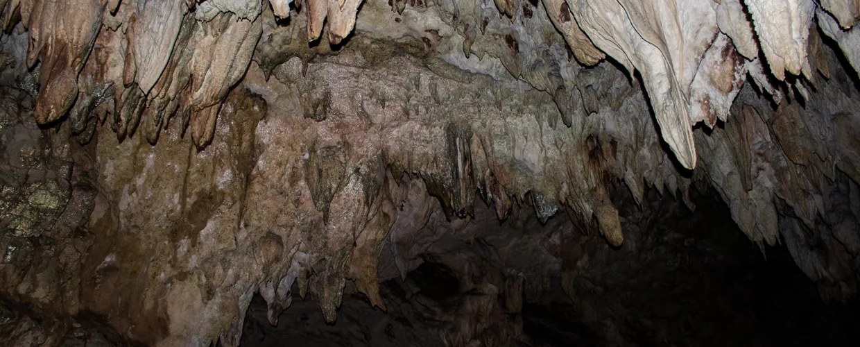 Caves of Pertosa-Auletta