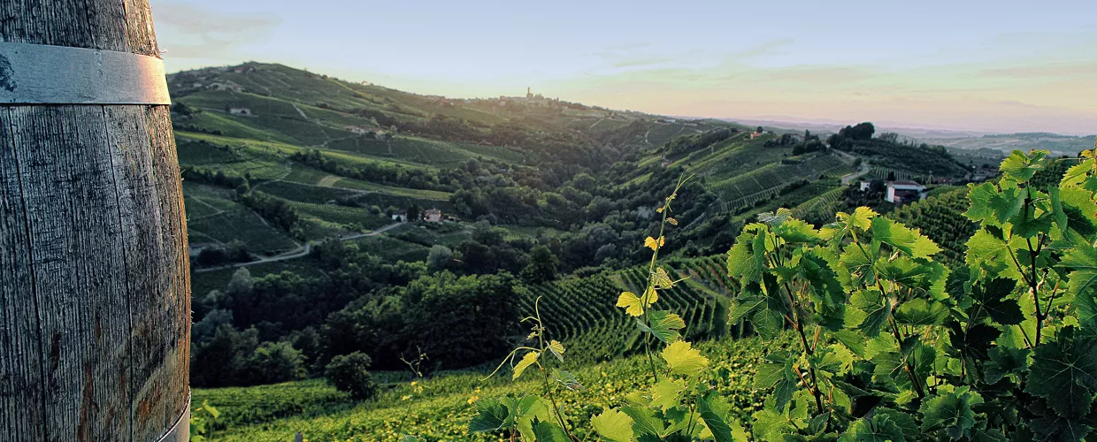 Die Winzer von Santo Stefano