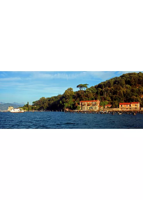 Ilha Palmaria