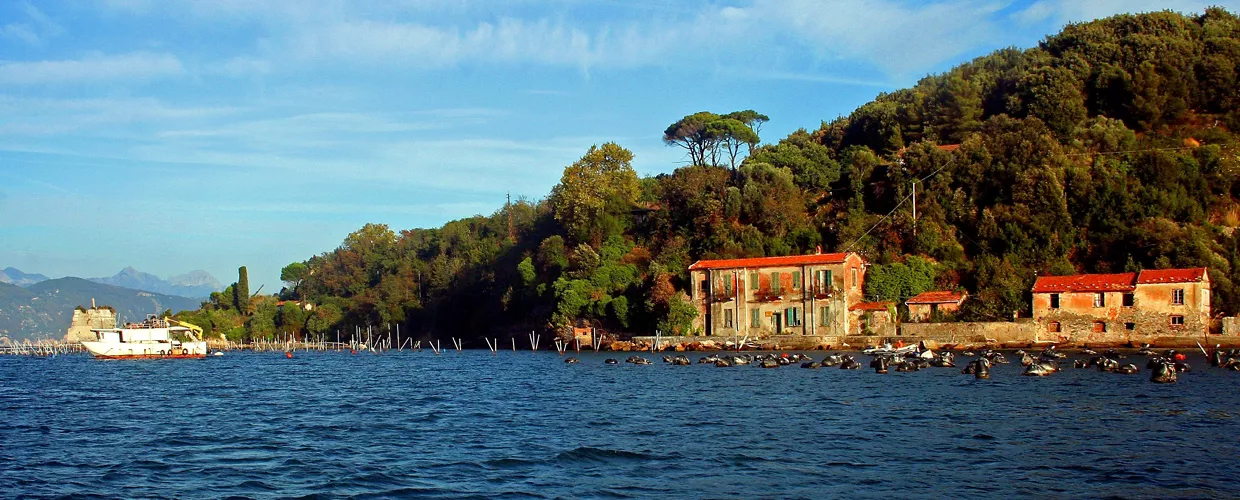 Île Palmaria