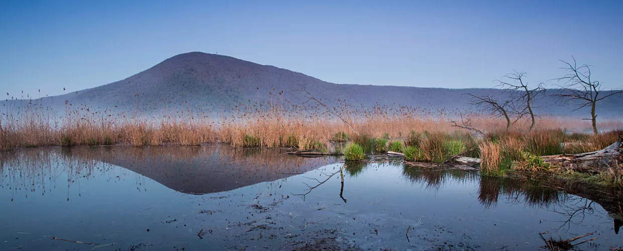 Lago de Vico