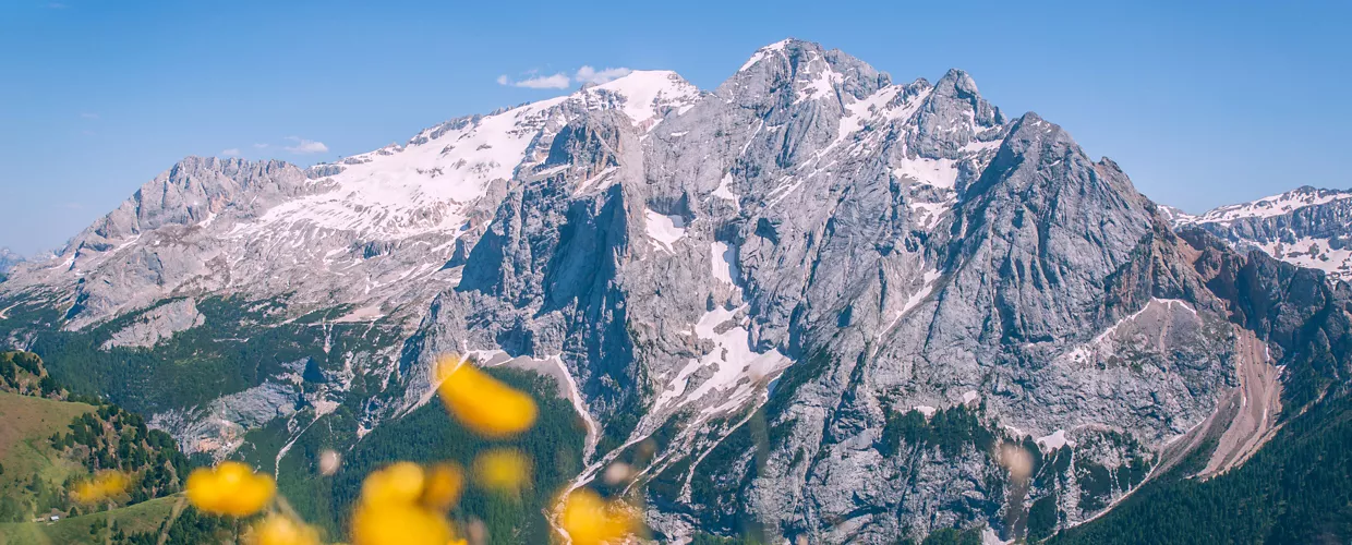 Marmolada