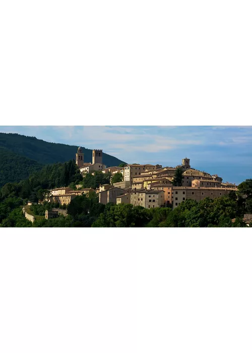 Matelica