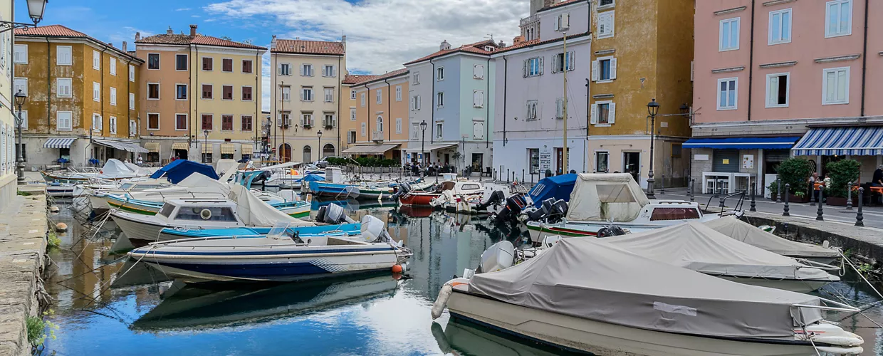 Muggia