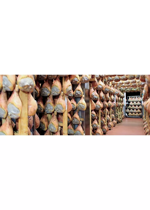 Parma Ham Museum