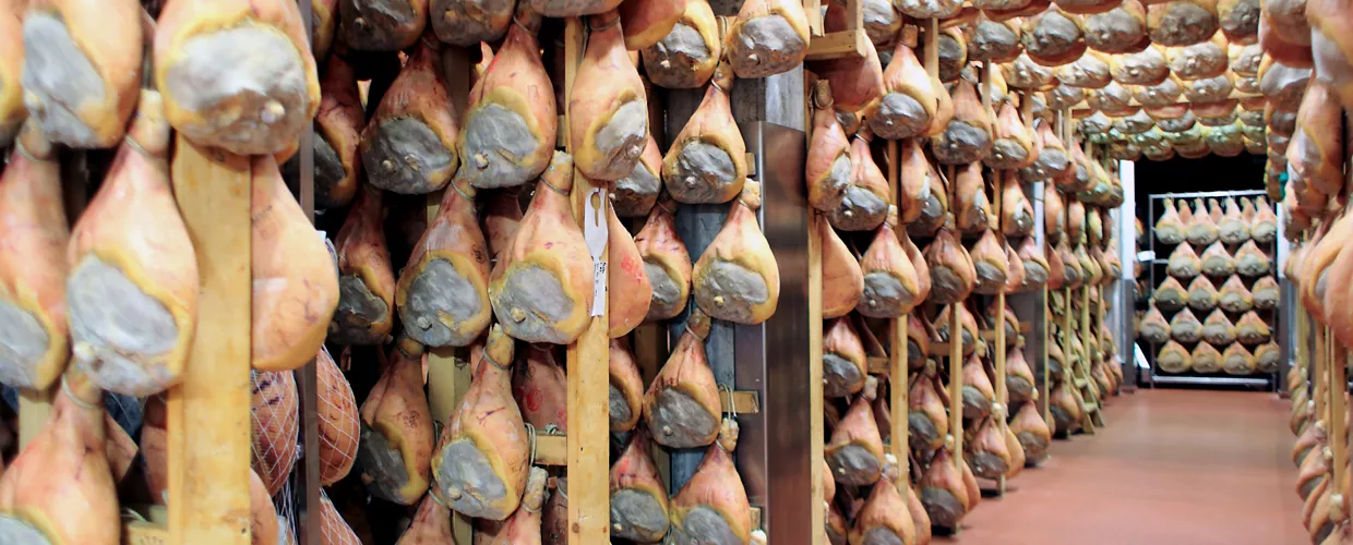 Museum des Parma-Schinkens