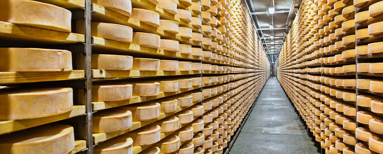 Museo della Fontina und Besucherzentrum