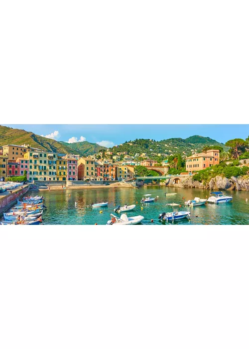 Nervi