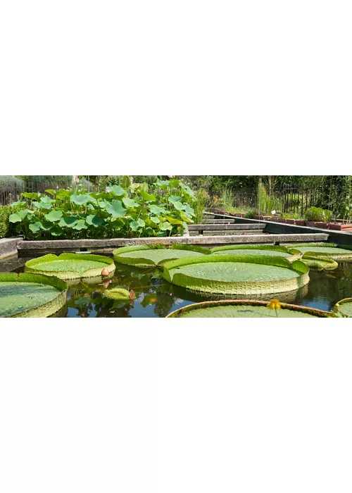 Botanischer Garten von Padua