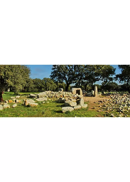 Parco archeologico di Pranu Muttedu