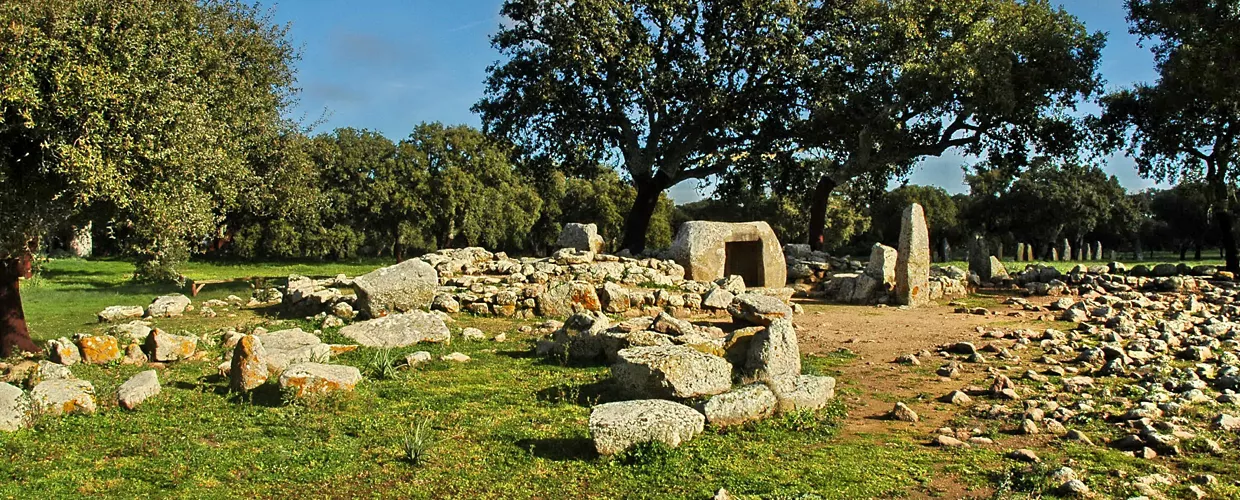 Parco archeologico di Pranu Muttedu